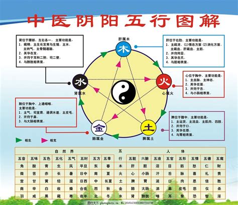 五行生活|五行（中医术语）